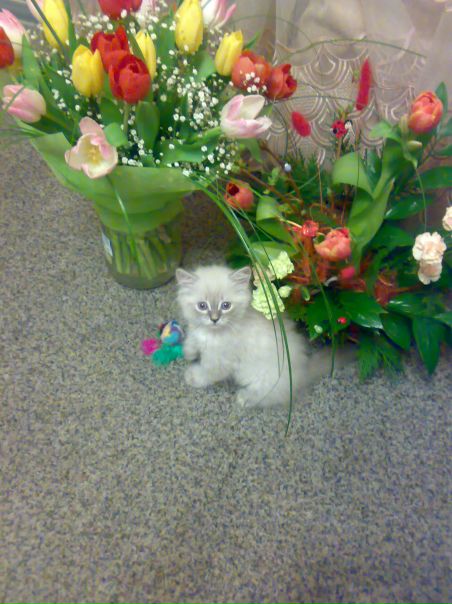 №69, Ольга Пономарева, Челябинск, Россия №69, Ольга Пономарева, Челябинск, Россия