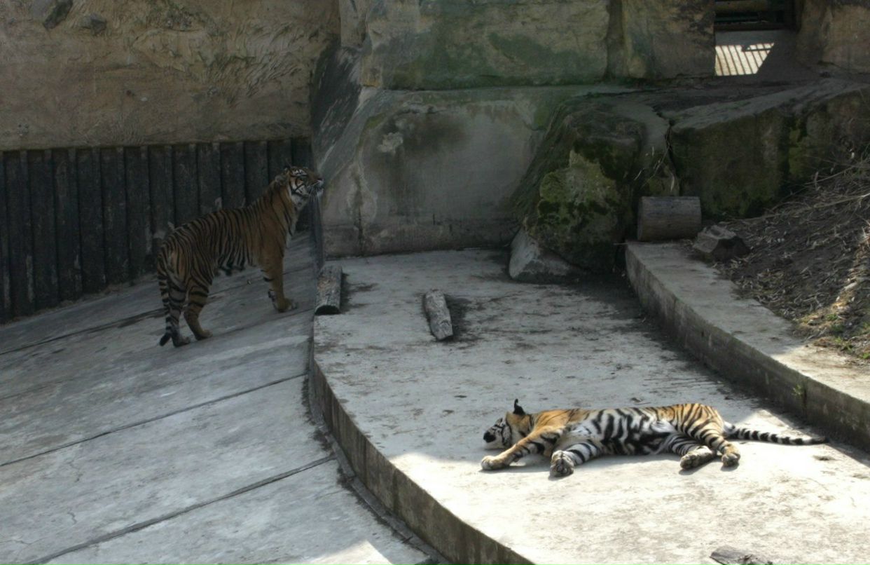 Евгения Прок | Санкт-Петербург