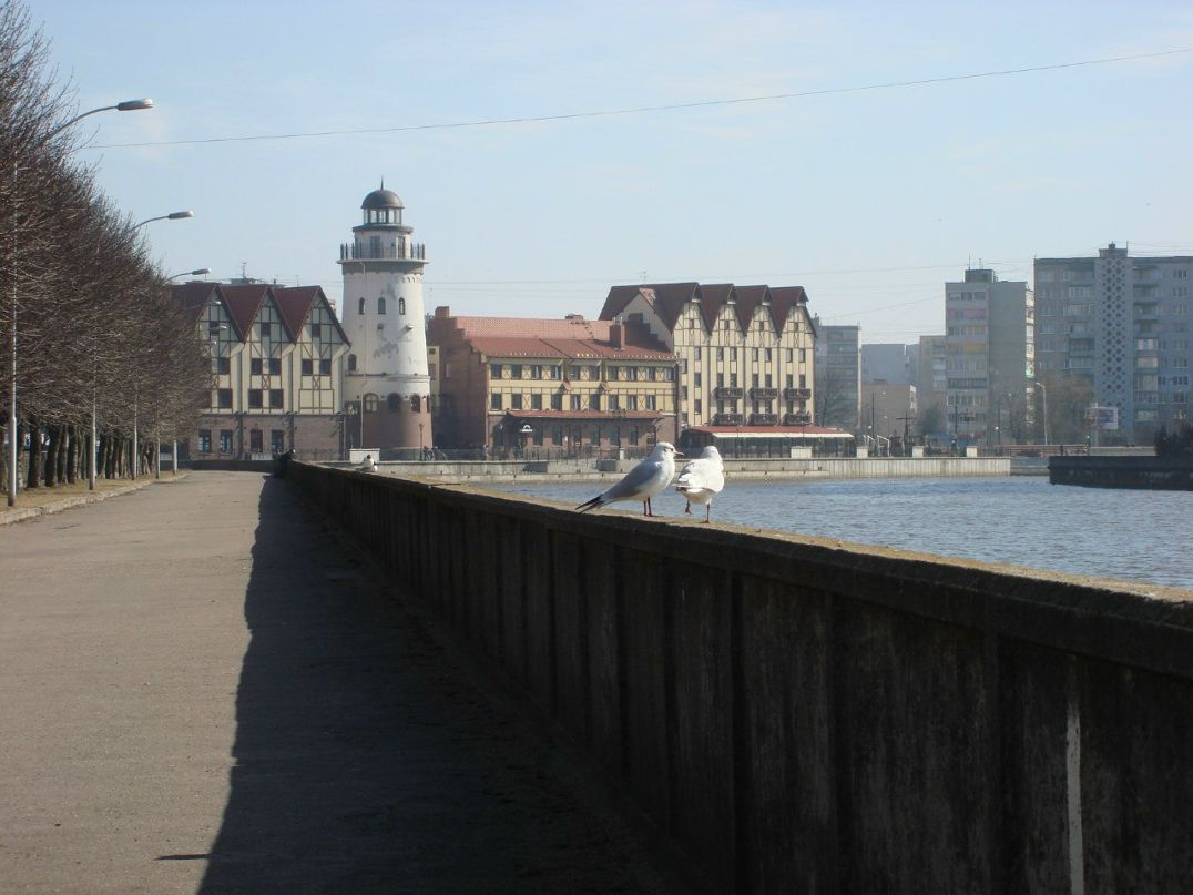 Мария Птицына | 