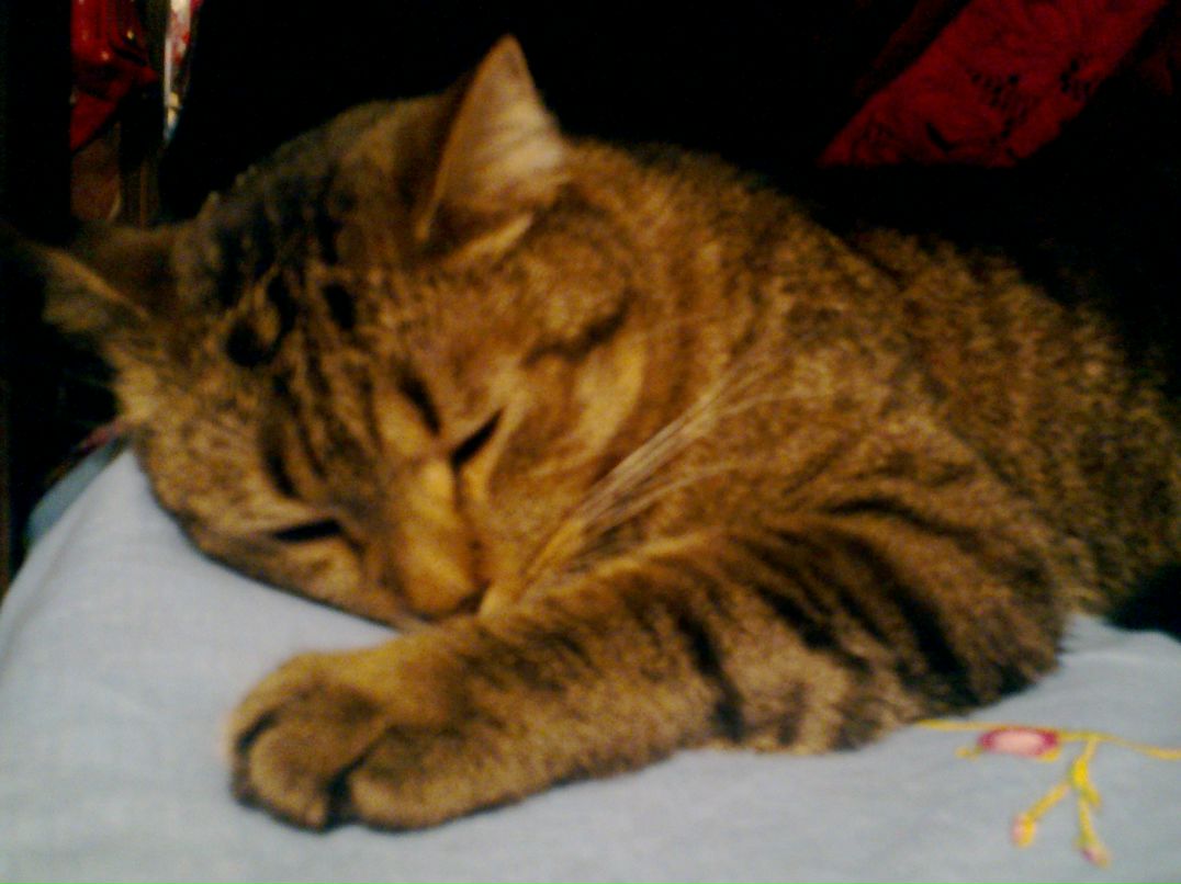 Лелька Яковлева | Москва