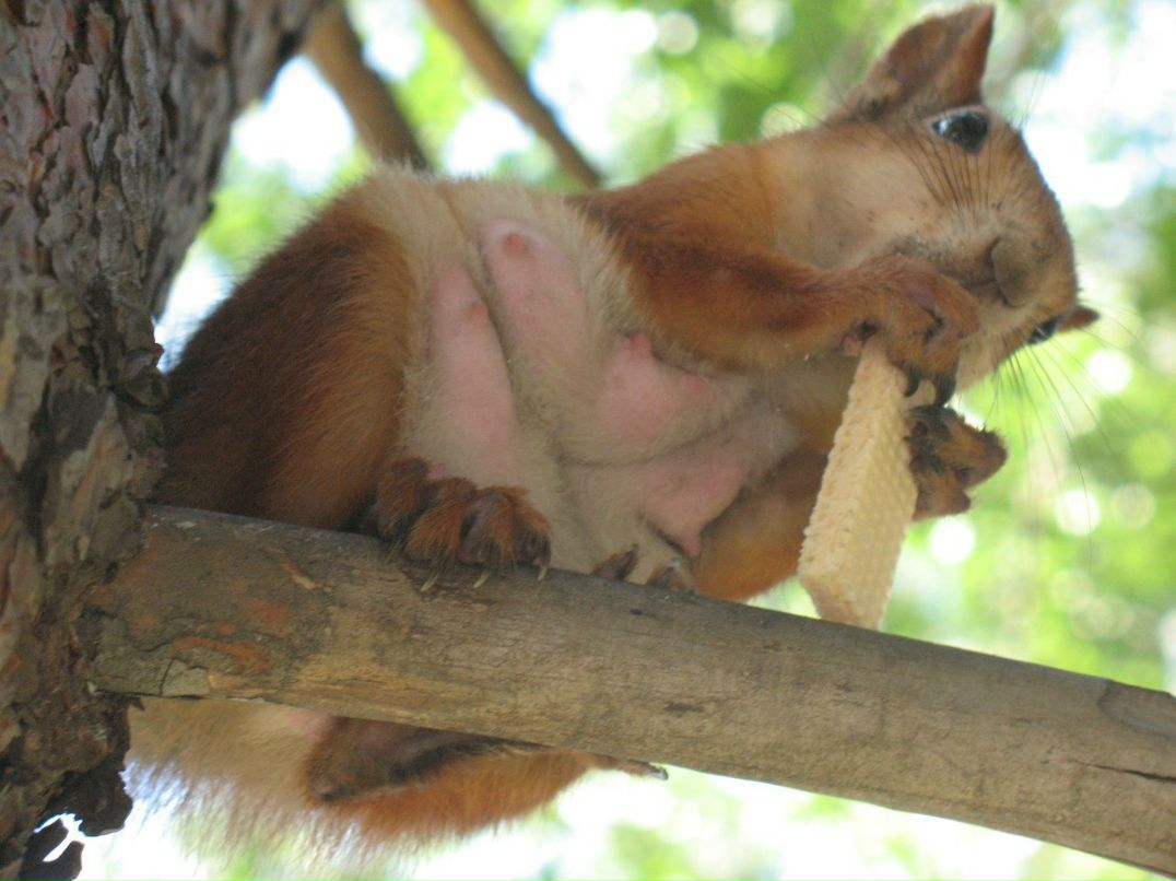 Данила Глущенко | Новосибирск