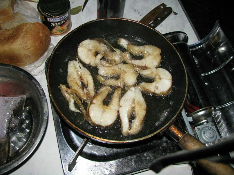 Максим Тараканов | Кемерово