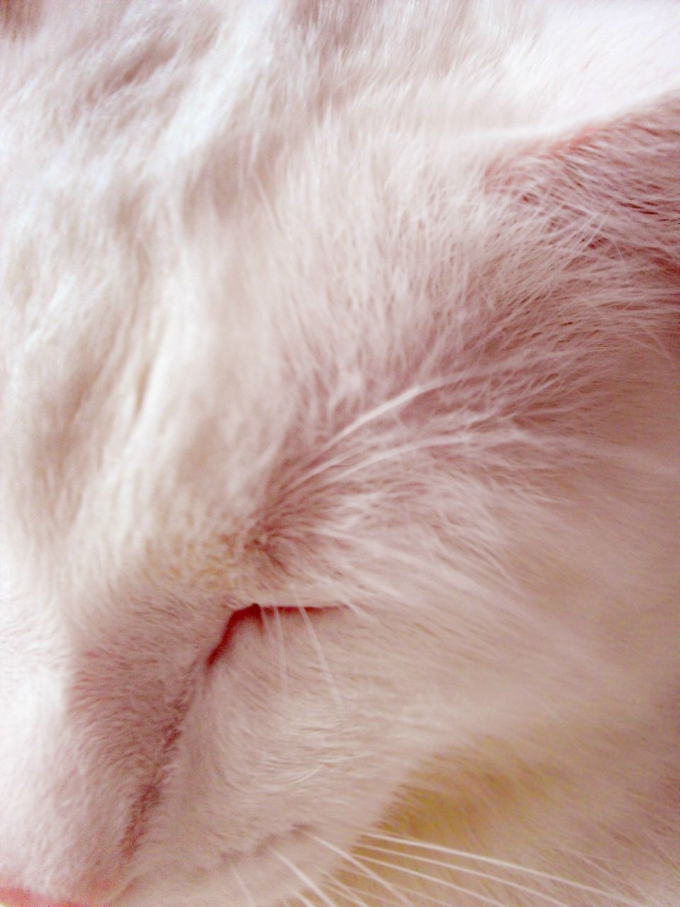 Юлия Давыдова | Чебоксары