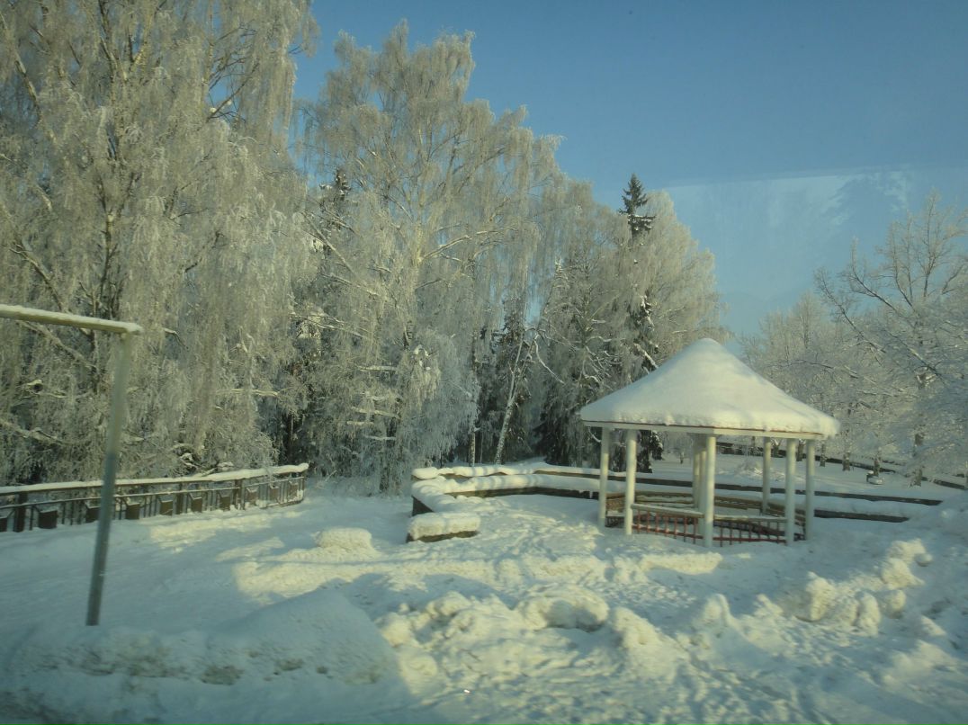 Алексей Карпов | Санкт-Петербург