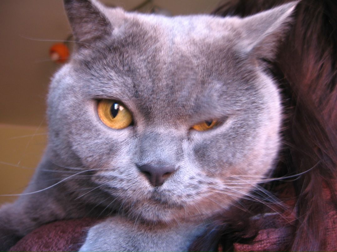 Ярослав Негляденко | Ярославль