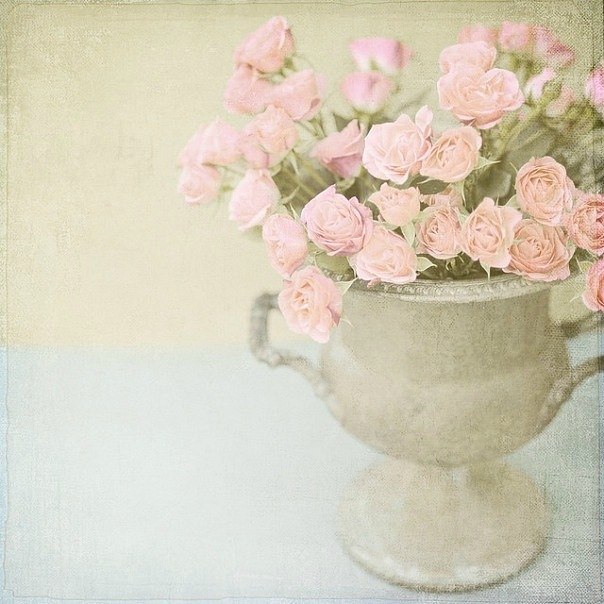 Марина Телевная | Москва