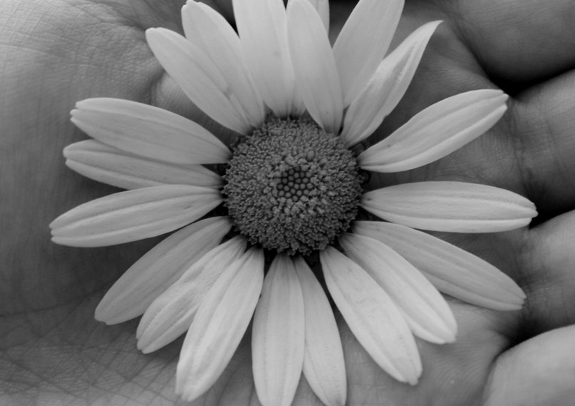 Полина Петухова | Пермь