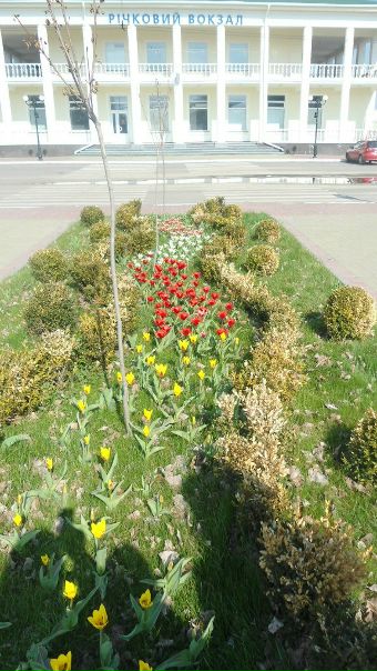 №37, Оля Сташкевич, 33 года, Тополи №37, Оля Сташкевич, 33 года, Тополи