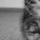 №130, Віталік Токарчук, 32 года №130, Віталік Токарчук, 32 года