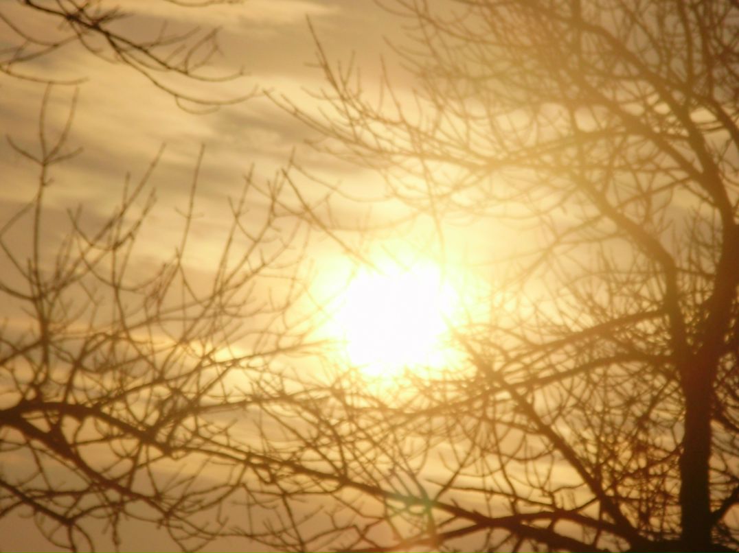 Леша Сычев → | Кривой Рог