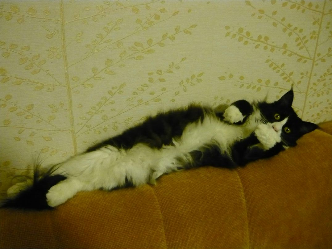 Нелли Бальчунене | Ярославль