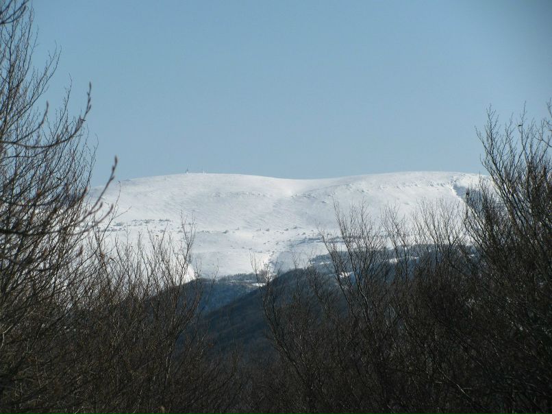 Илья Зубенко | Донецк