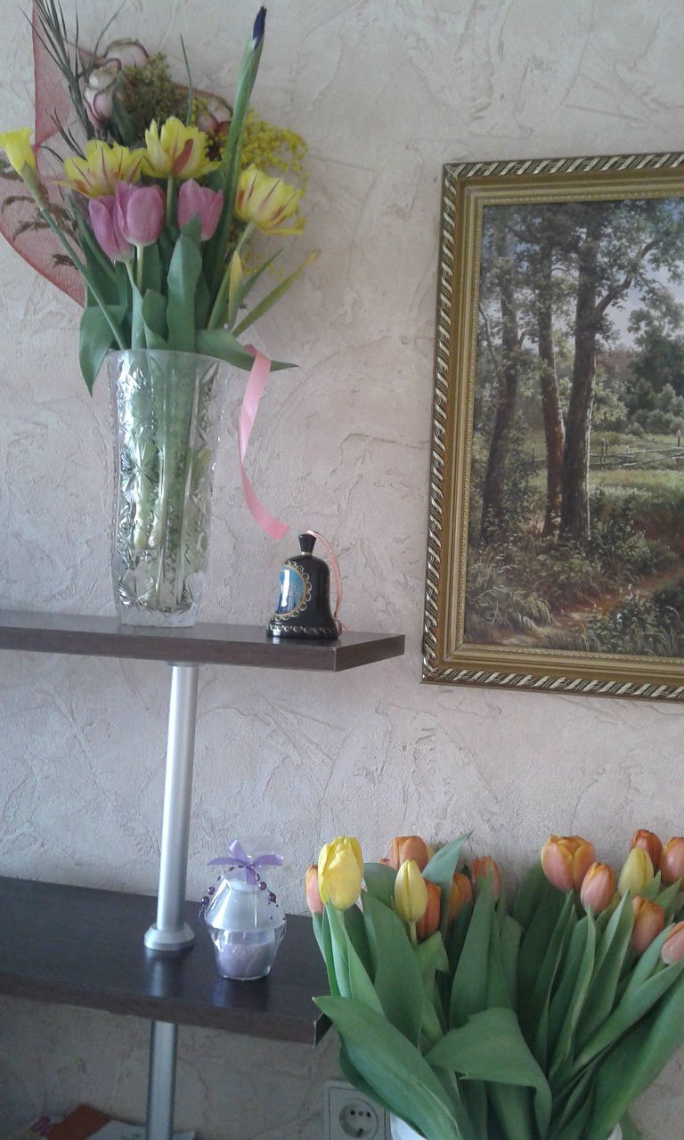 Анна Мясникова Анчоус | Ухта