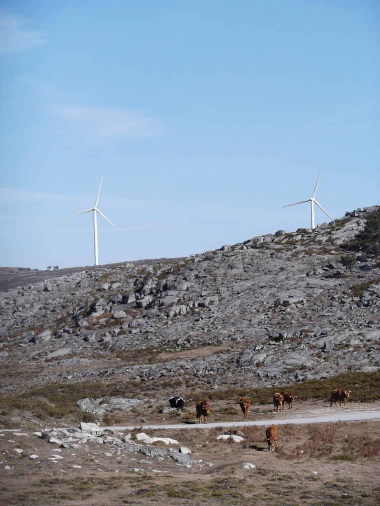 Катя Родионова | Воронеж