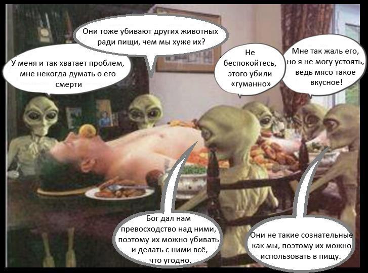 Максим Семенов Вячеславович | Санкт-Петербург