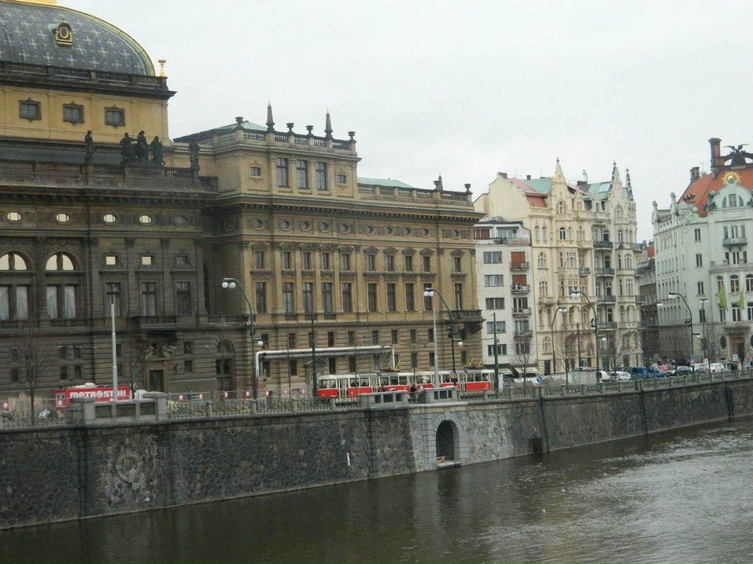 Ксения Никифорова | 