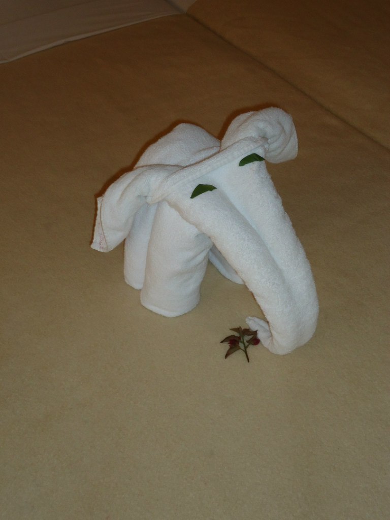 Екатерина Шманина | Москва