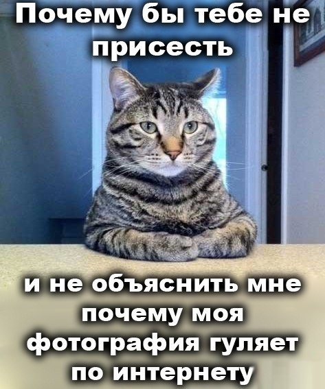 Давыдов Родион | Hobart