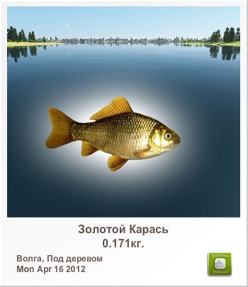 Санёк Сизов | Саратов