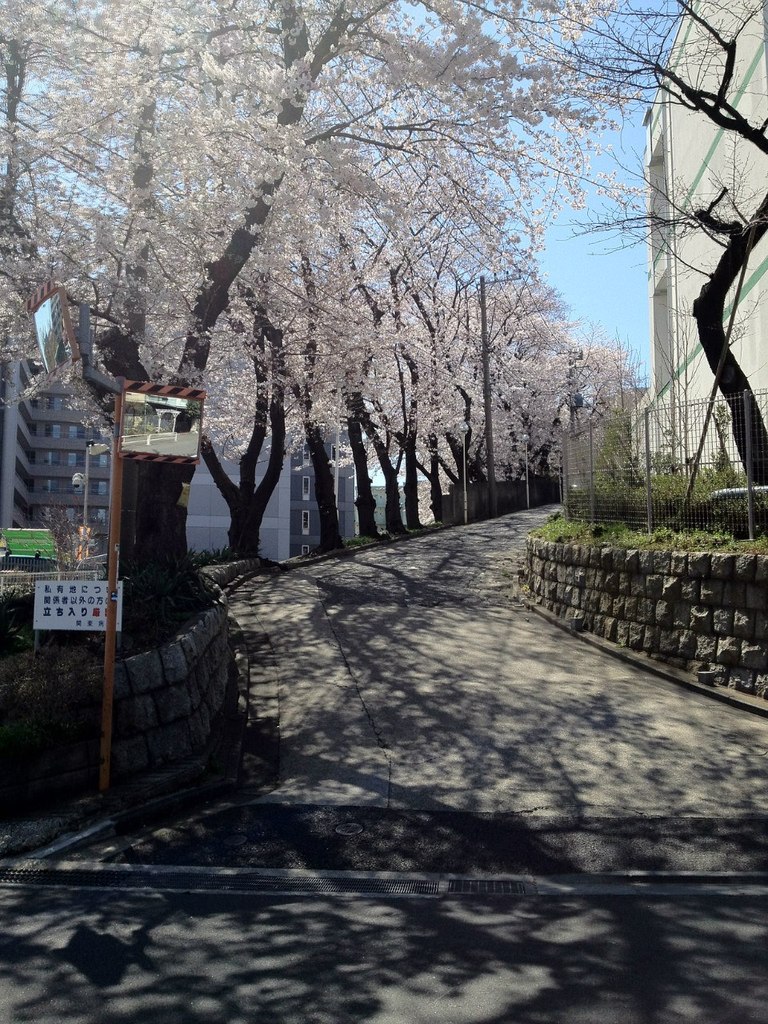 Susumu Fujita | Si Racha