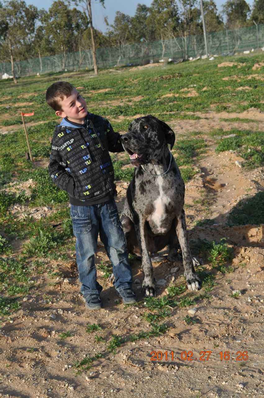 Юлия Заславски | 