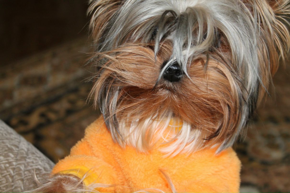 Анжела Волковская | Санкт-Петербург