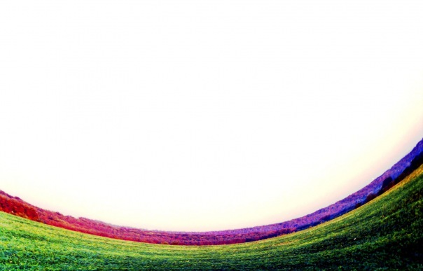 №167, Андрей Даценко, Киев №167, Андрей Даценко, Киев