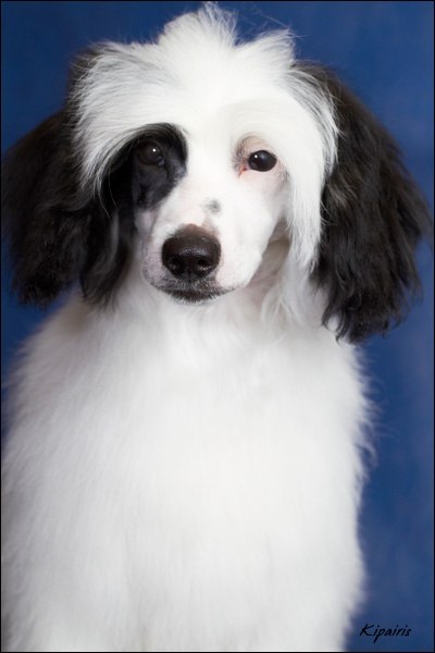 Сашка Солнцева | Москва