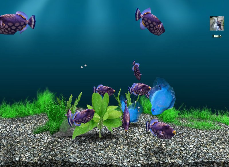 Виктория Козленок | Запорожье