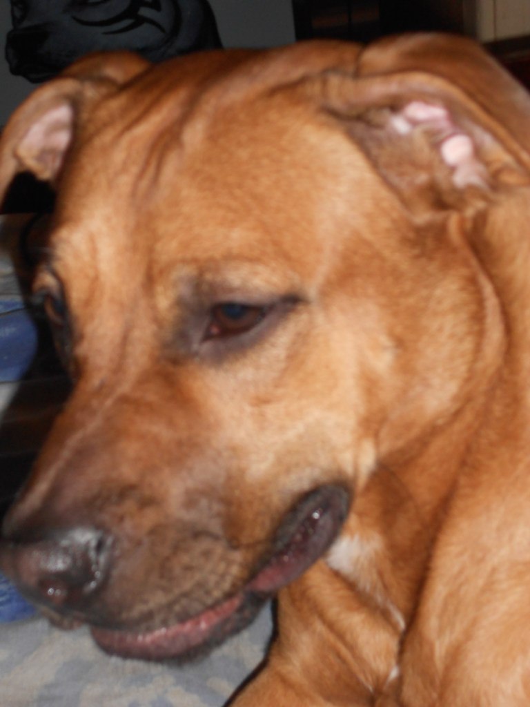 Екатерина Чукавина | Челябинск