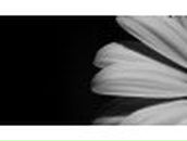 Валерия Демьяненко | Dublin