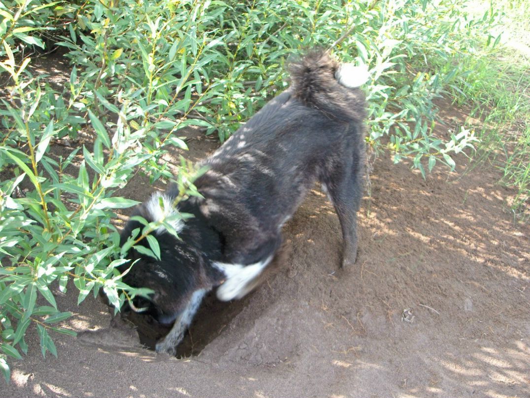 Алёна Машьянова | 