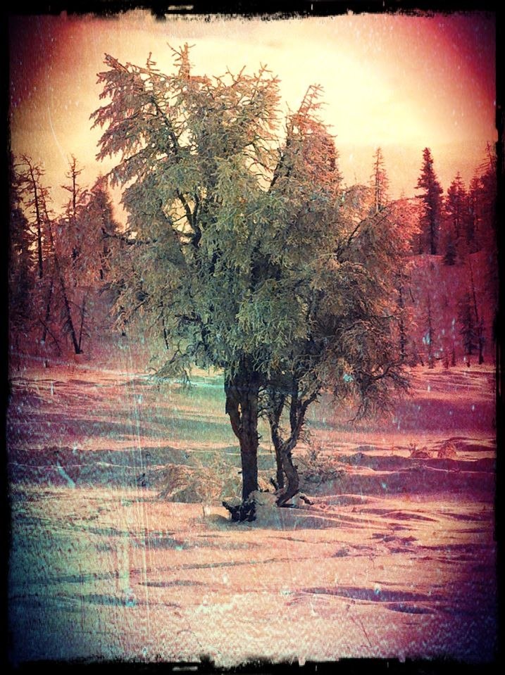 Артем Досманов | Москва