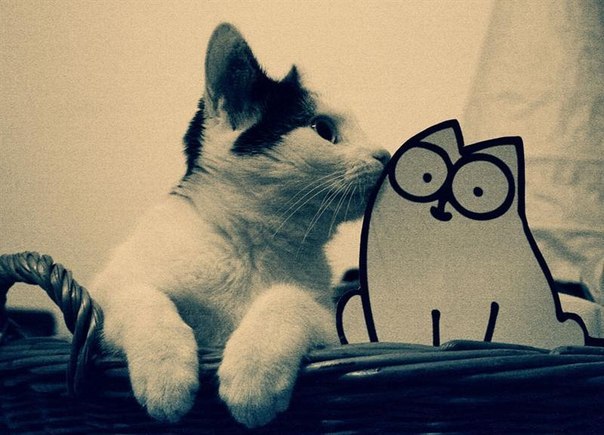 №161, Екатерина Ольховикова, 18.02, Лебяжье №161, Екатерина Ольховикова, 18.02, Лебяжье