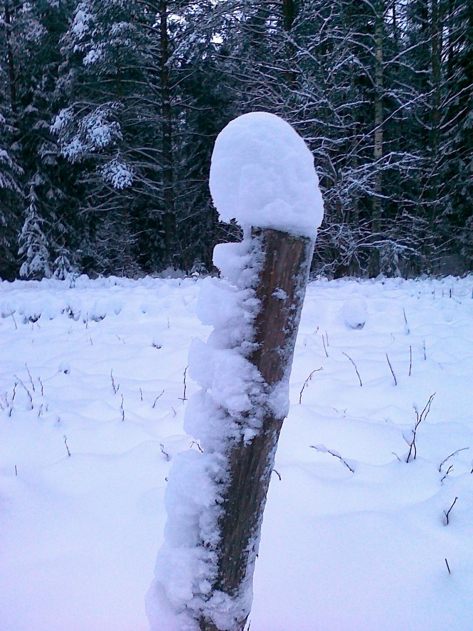 Валентин Шмаков | Санкт-Петербург