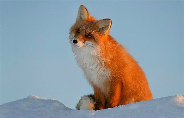 №68, Татьяна Малахова, Салават №68, Татьяна Малахова, Салават