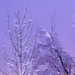 Алёна Лаврёнова фотография #34
