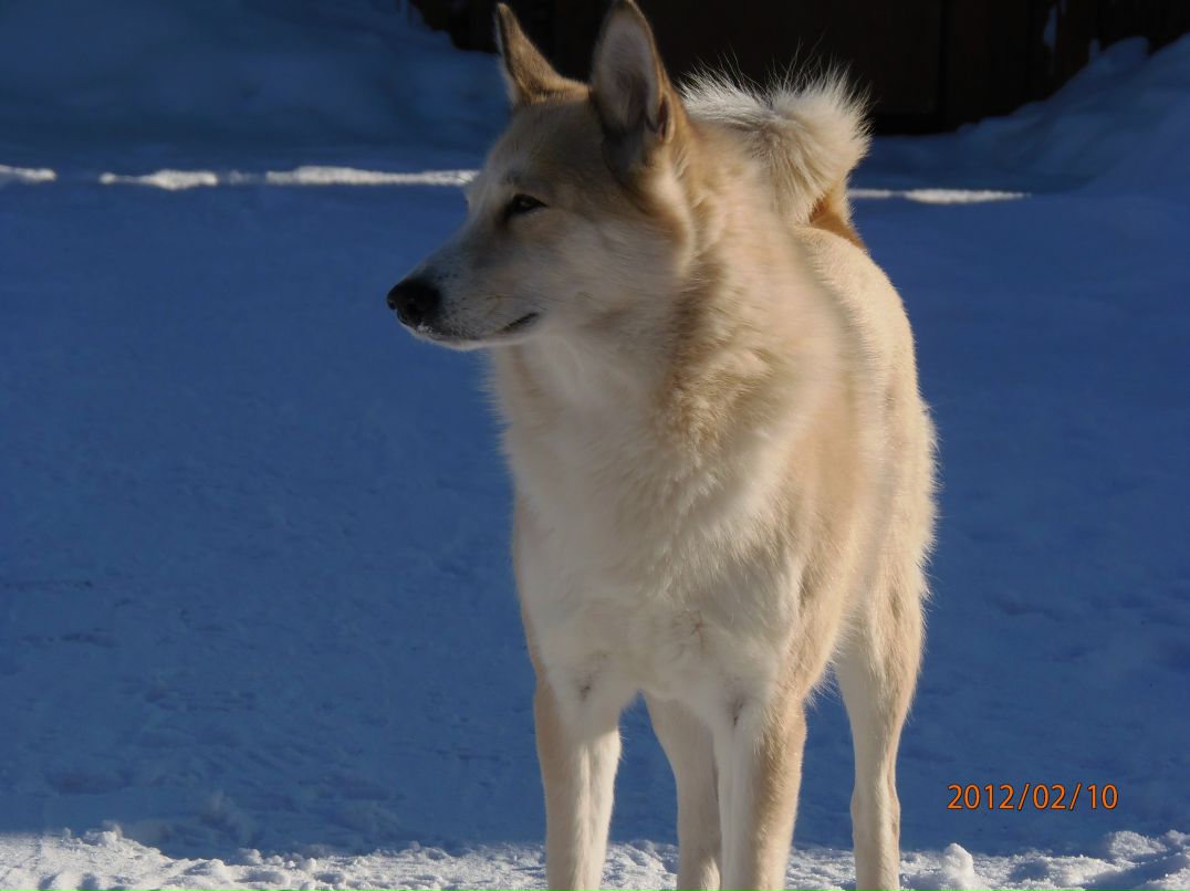 Андрей Феоненко | Луга