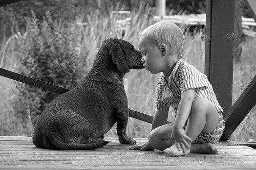 Антон Викторович | Смоленск