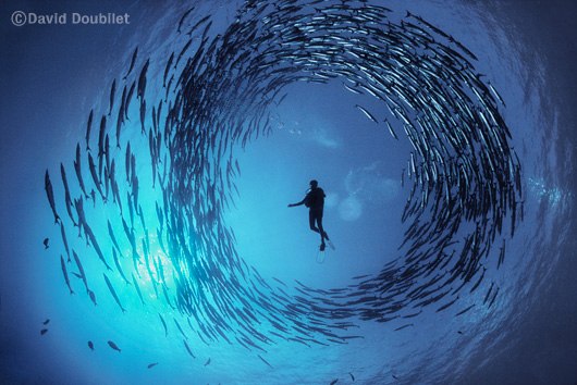 Евгений Малухин | Philadelphia