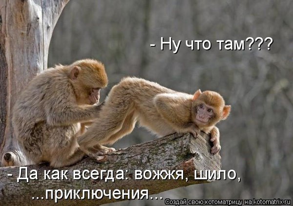 Наталия Ванхувермеерен | Санкт-Петербург