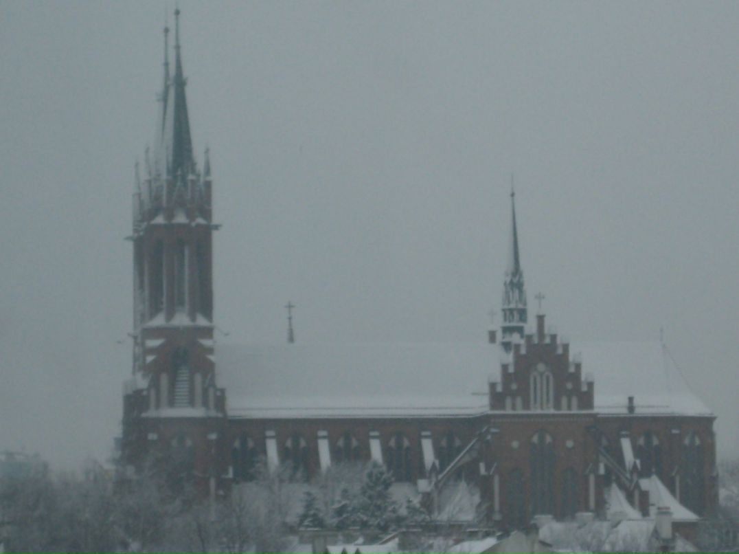 Сергей Королюк | Гомель