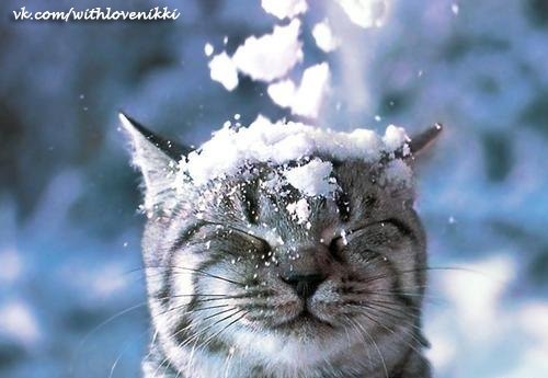 Александр Щербинин Котя ^____________________^ | Красноярск