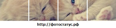 №139, Ірішка Прядун, 33 года №139, Ірішка Прядун, 33 года