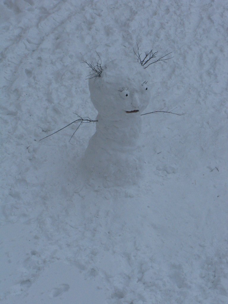 Юлия Фомина | Рязань