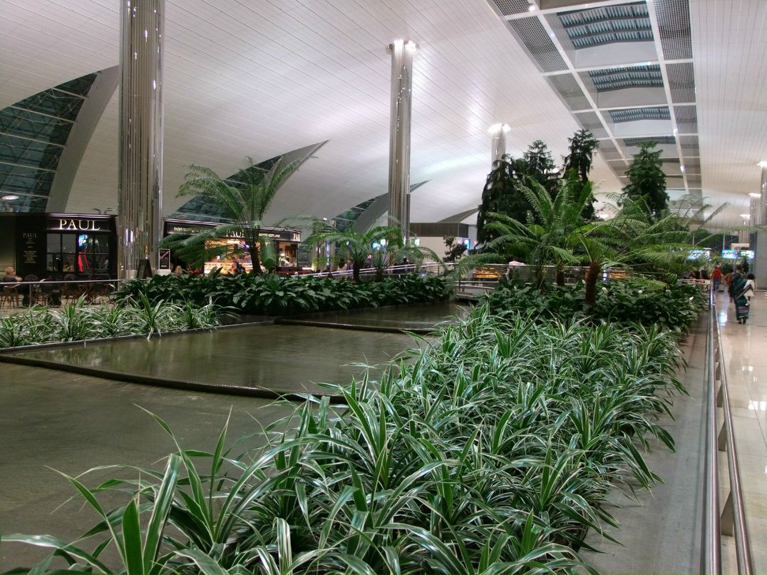 German Vyrodov | Санкт-Петербург