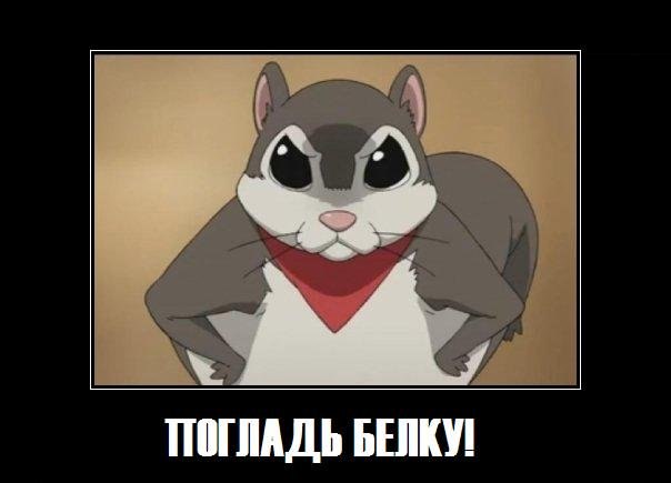 Сергей Сердюченко | Горловка