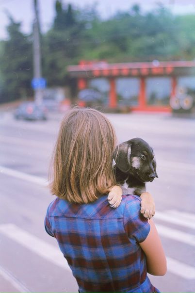 №159, Liquid Day №159, Liquid Day