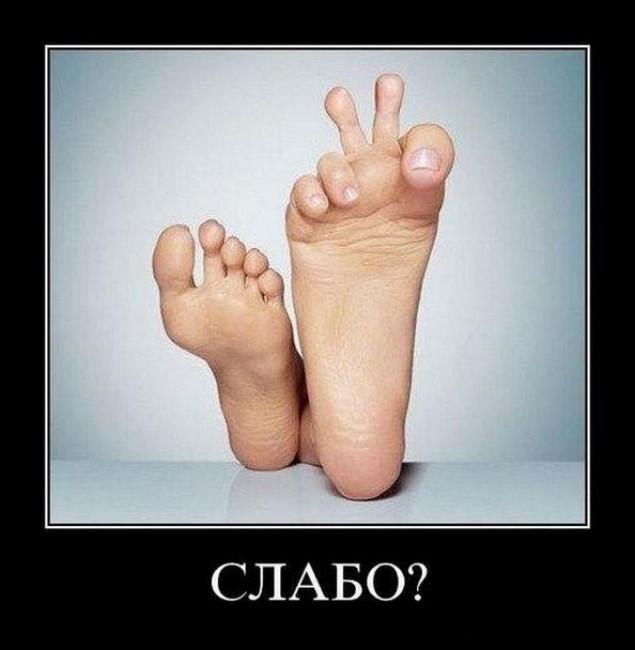 Едуард Пирог | Киев