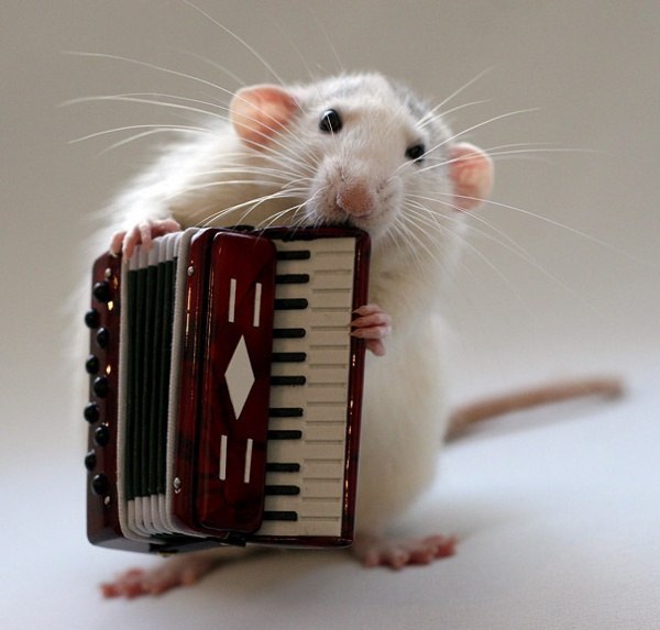 Сергей Мавров | Николаев